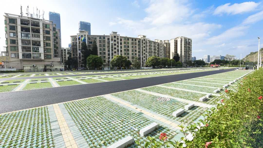 1733800594991454.png 9.png