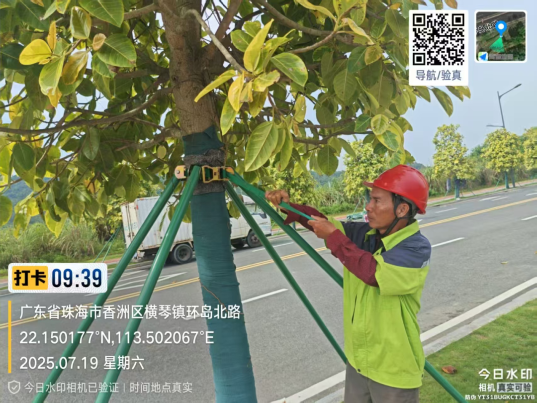 1753070114488676.png 29.png